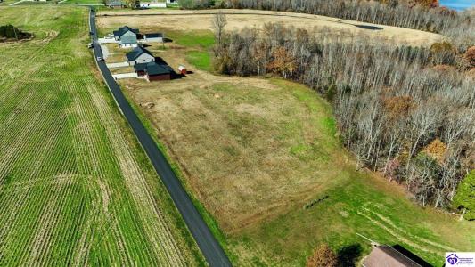 25 Capps Road Lot #25, Campbellsville, ケンタッキー 42718, アメリカ合衆国