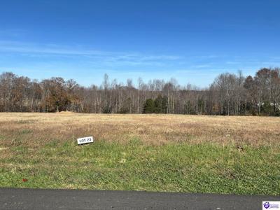 25 Capps Road Lot #25, Campbellsville, קנטאקי 42718, ארצות הברית של אמריקה 