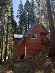 1743 Fiddleneck Road, La Porte, Califórnia 95981, Estados Unidos