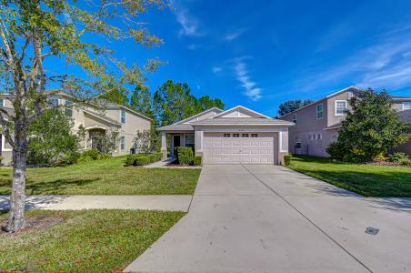 4246 WARWICK HILLS DR, Wesley Chapel, Флорида 33543, Соединенные Штаты