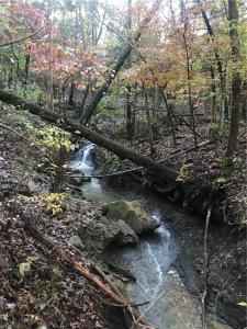 18864 Lake Sequoyah Rd., Fayetteville, Arkansas 72701, Estados Unidos