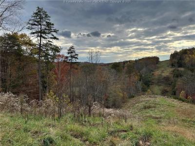 621 Three Mile Rd., Brohard, מערב וירג'יניה 26138, ארצות הברית של אמריקה