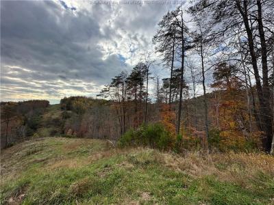 621 Three Mile Rd., Brohard, מערב וירג'יניה 26138, ארצות הברית של אמריקה