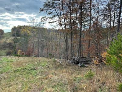 621 Three Mile Rd., Brohard, מערב וירג'יניה 26138, ארצות הברית של אמריקה