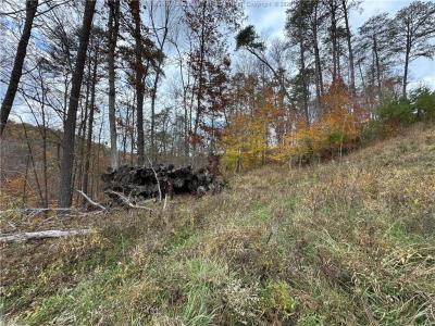 621 Three Mile Rd., Brohard, מערב וירג'יניה 26138, ארצות הברית של אמריקה