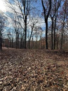 0 Orchard Road, Jasper, Georgia 30143