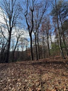 0 Orchard Road, Jasper, Georgia 30143