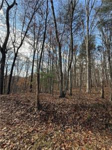 0 Orchard Road, Jasper, Georgia 30143