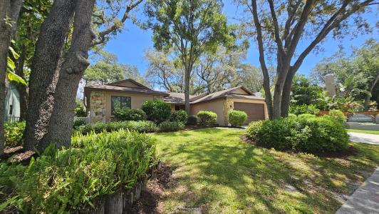 2401 Country Trails S, Safety Harbor, Florida 34695