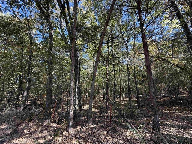 000 C R 1412, Van, Texas 75790, Stati Uniti