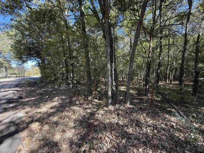 000 C R 1412, Van, Texas 75790, Stati Uniti