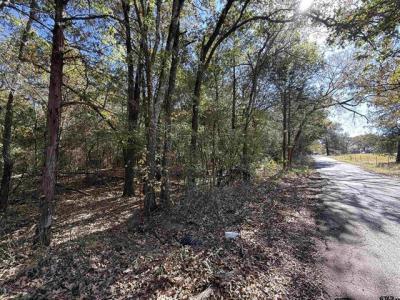 000 C R 1412, Van, Texas 75790, Stati Uniti