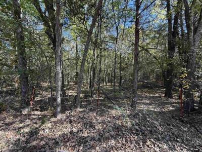 000 C R 1412, Van, Texas 75790, Stati Uniti