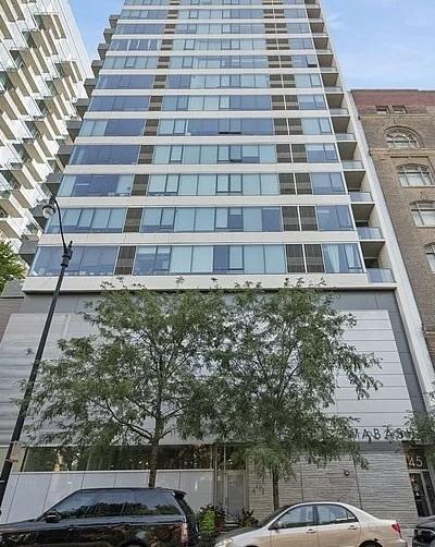 1345 S Wabash Avenue , 1004, Chicago, Иллинойс 60605, Соединенные Штаты