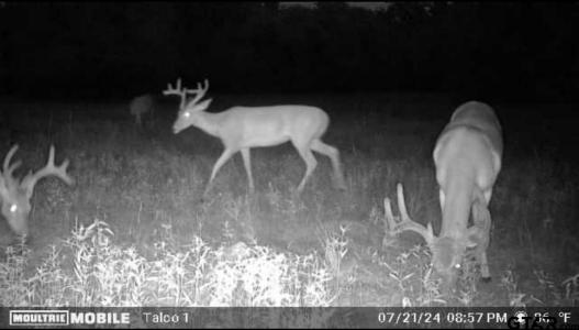 TBD FM 71, Talco, 德克薩斯州 75487, 美國