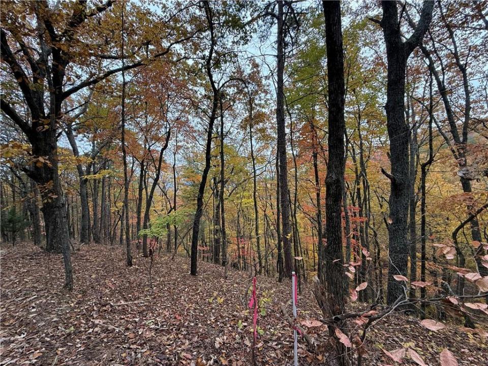 355 Orieole Court, Ranger, 喬治亞州 30734, 美國