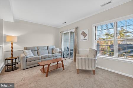 2907 S C S Woodley St 3 Street C S Unit# 3, Arlington, Virginia 22206, Estados Unidos