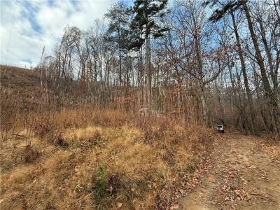 0 Falling Pines Road, Dahlonega, Georgia 30533