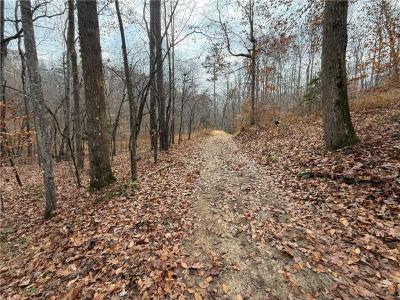 0 Falling Pines Road, Dahlonega, Georgia 30533