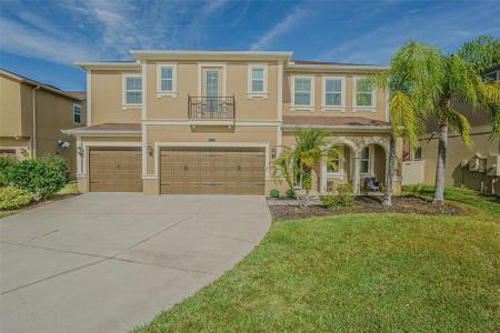 32139 Firemoss Lane, Wesley Chapel, Florida 33543, USA