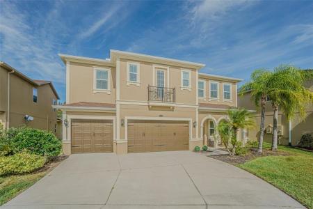 32139 Firemoss Lane, Wesley Chapel, 佛羅里達州 33543, 美國