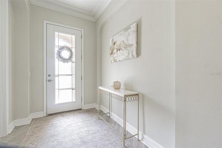 32139 Firemoss Lane, Wesley Chapel, 佛羅里達州 33543, 美國