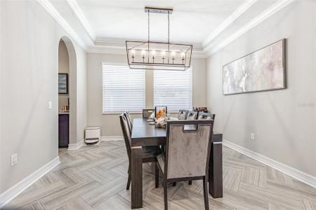 32139 Firemoss Lane, Wesley Chapel, 佛羅里達州 33543, 美國