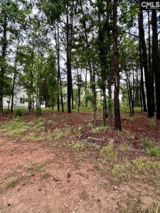 513 Misty Banks Drive, Chapin, South Carolina 29036, HOA KỲ
