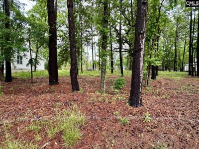 513 Misty Banks Drive, Chapin, South Carolina 29036, HOA KỲ