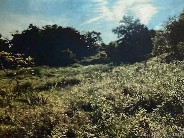 201 New Cheshire Road, Wallingford, קונטיקט 06492, ארצות הברית של אמריקה 