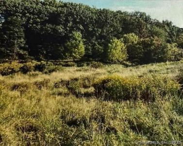 201 New Cheshire Road, Wallingford, קונטיקט 06492, ארצות הברית של אמריקה 