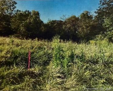 201 New Cheshire Road, Wallingford, קונטיקט 06492, ארצות הברית של אמריקה 