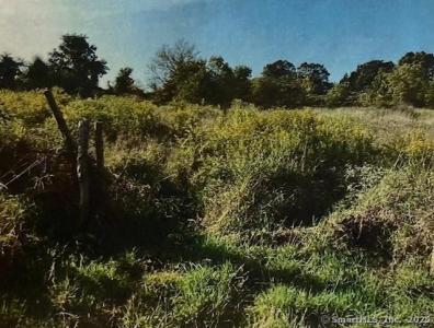 201 New Cheshire Road, Wallingford, קונטיקט 06492, ארצות הברית של אמריקה 