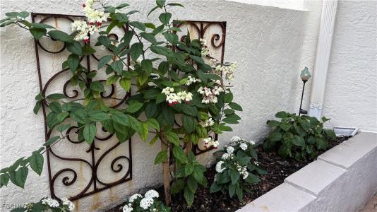 9615 Halyards Court , 12, Fort Myers, Florida 33919, Estados Unidos