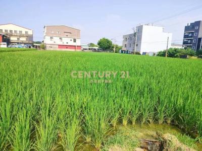 秀雅段, Daya Dist., טאיצ'ונג עיר 428, טיוואן 