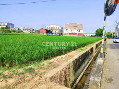 秀雅段, Daya Dist., טאיצ'ונג עיר 428, טיוואן 