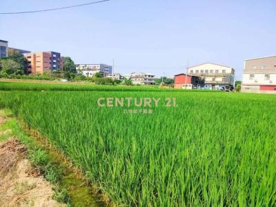 秀雅段, Daya Dist., טאיצ'ונג עיר 428, טיוואן 