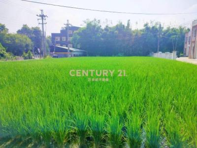 秀雅段, Daya Dist., טאיצ'ונג עיר 428, טיוואן 