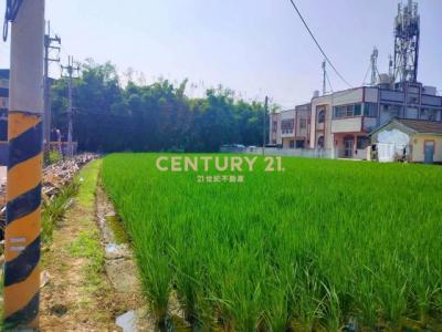 秀雅段, Daya Dist., טאיצ'ונג עיר 428, טיוואן 