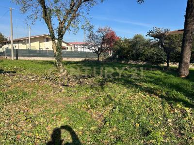 Via san pierino, Bovolone, Veneto 37051, Italy