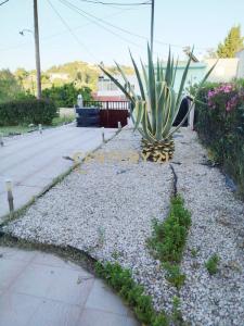 Rhodes, Dodecanese, יוון