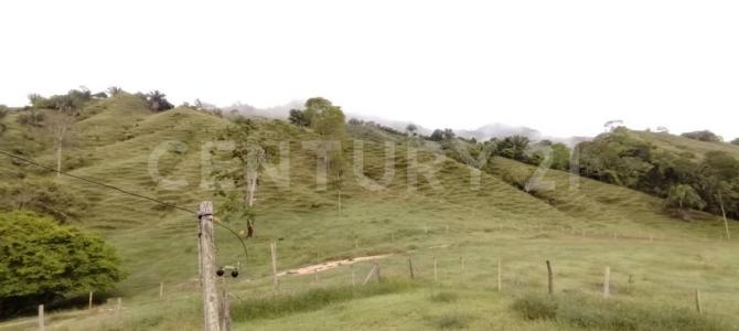 Guaduas, Cundinamarca 00001, Colombia