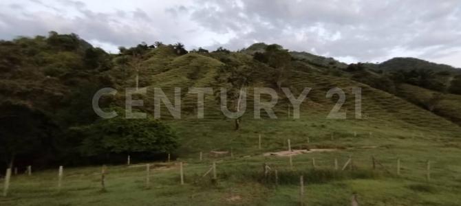 Guaduas, Cundinamarca 00001, Colombia