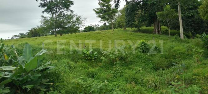 Urabá, Antioquia 057867, Colombia