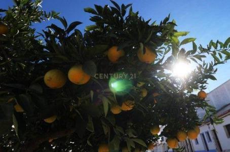 Arraiolos, Evora 7040-275, Portugal