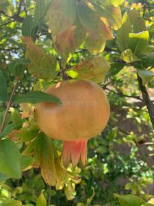 Almada, Setubal 2815-859, Portugal