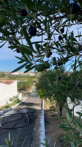 Almada, Setubal 2815-859, Portugal