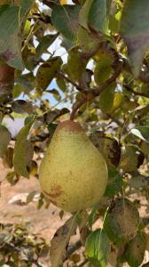 Almada, Setubal 2815-859, Portugal