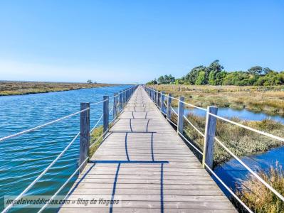 Aveiro, Aveiro 3800-038, Portugal
