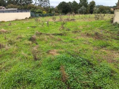 Aveiro, Aveiro 3800-038, Portugal